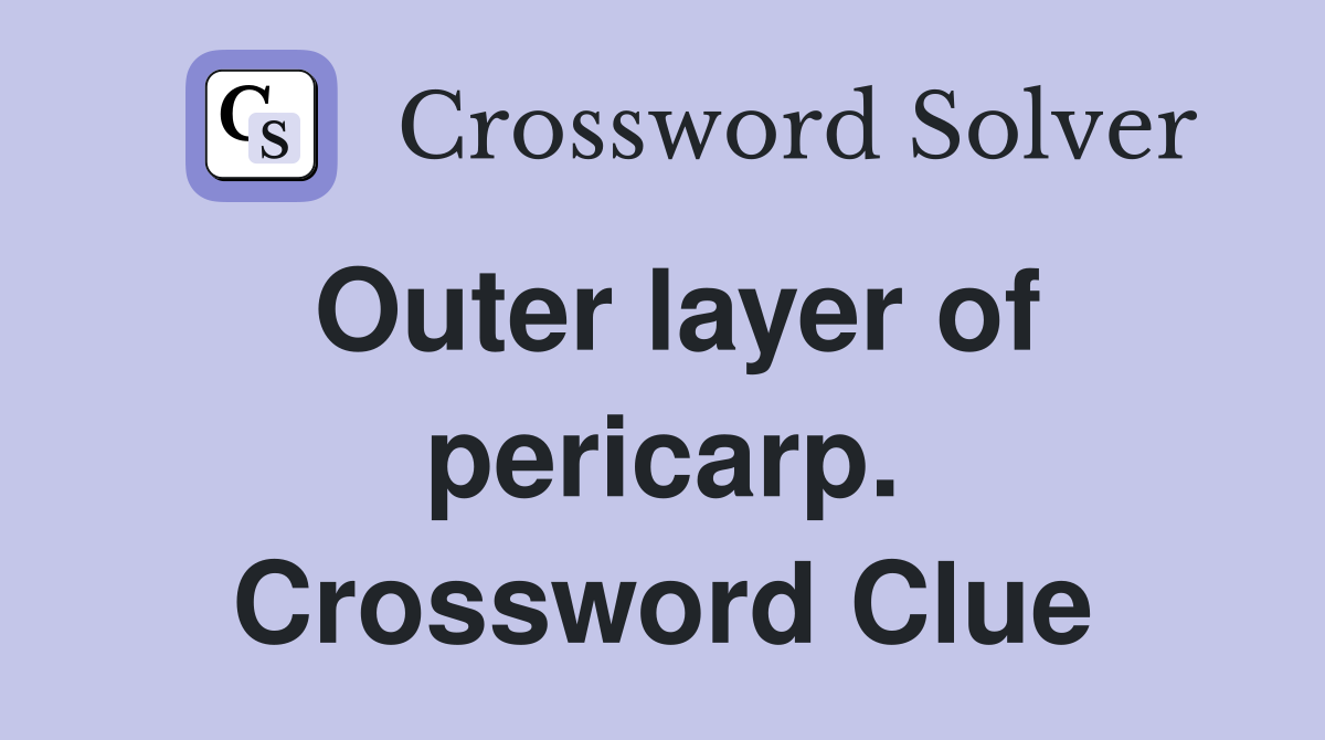 Outer layer of pericarp. Crossword Clue