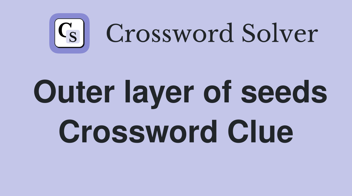 Outer layer of seeds Crossword Clue