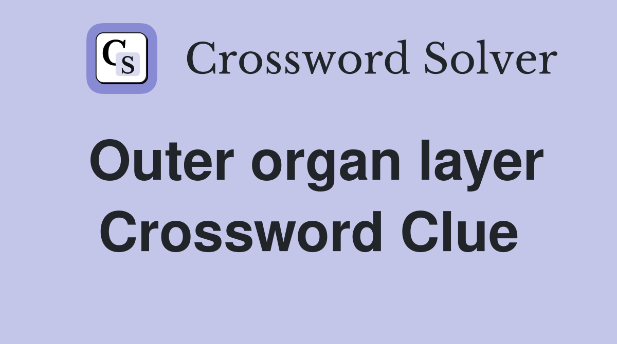 Outer organ layer Crossword Clue
