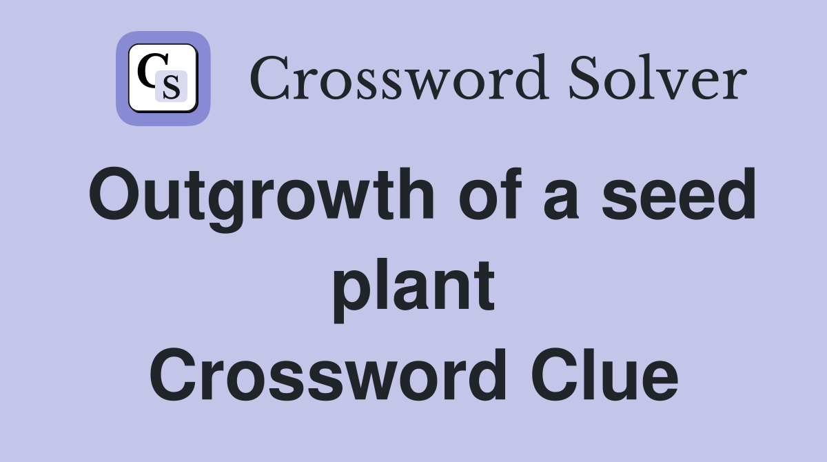 Outgrowth of a seed plant Crossword Clue