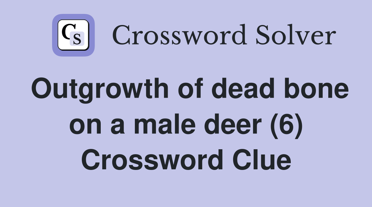 Outgrowth of dead bone on a male deer (6) Crossword Clue