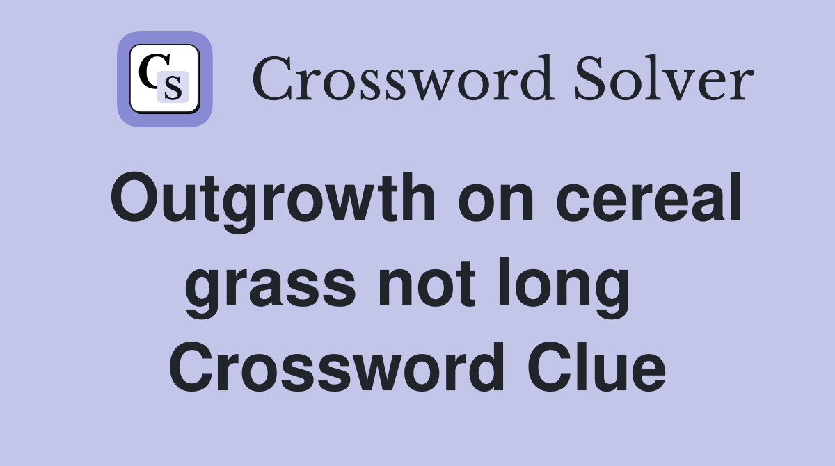Outgrowth on cereal grass not long  Crossword Clue
