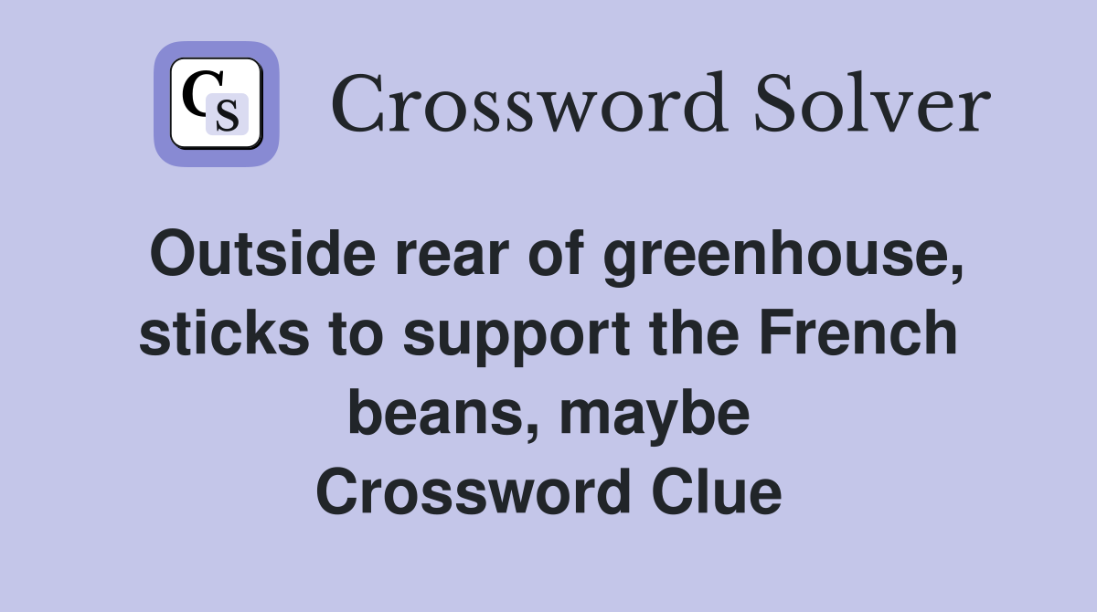 Outside rear of greenhouse, sticks to support the French beans, maybe Crossword Clue
