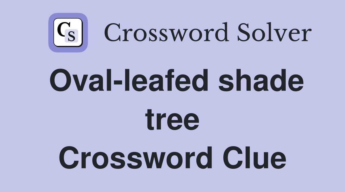 Oval-leafed shade tree Crossword Clue