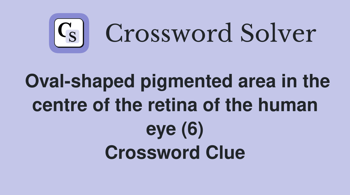Oval shaped pigmented area in the centre of the retina of the human eye