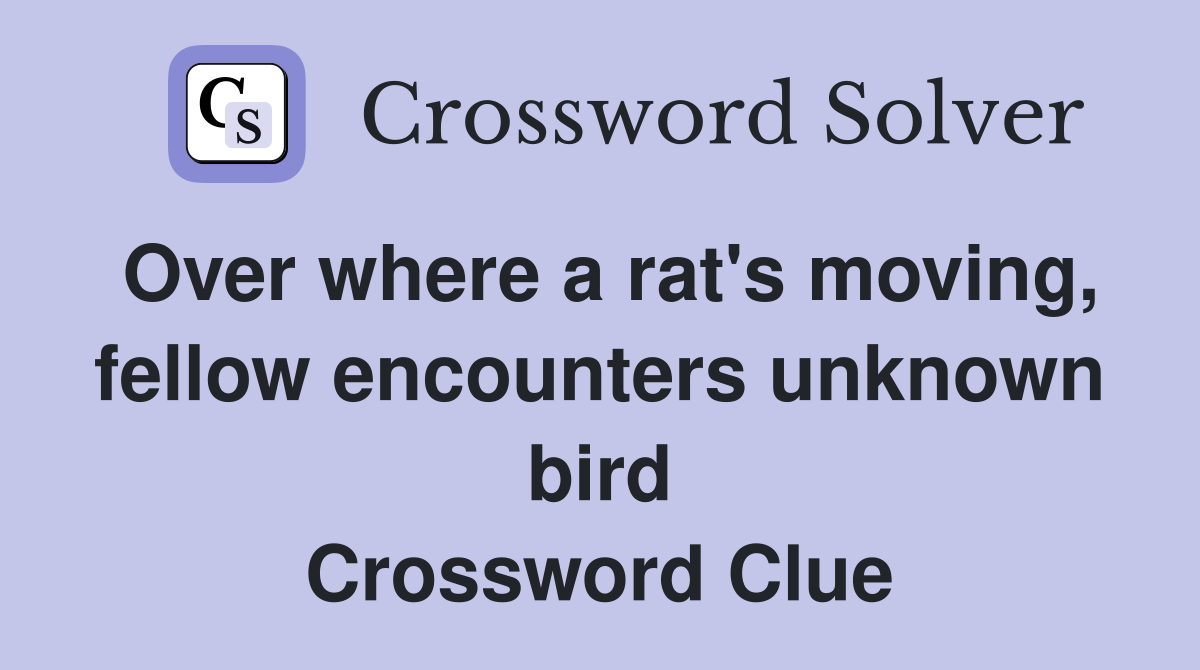 Over where a rat's moving, fellow encounters unknown bird Crossword Clue