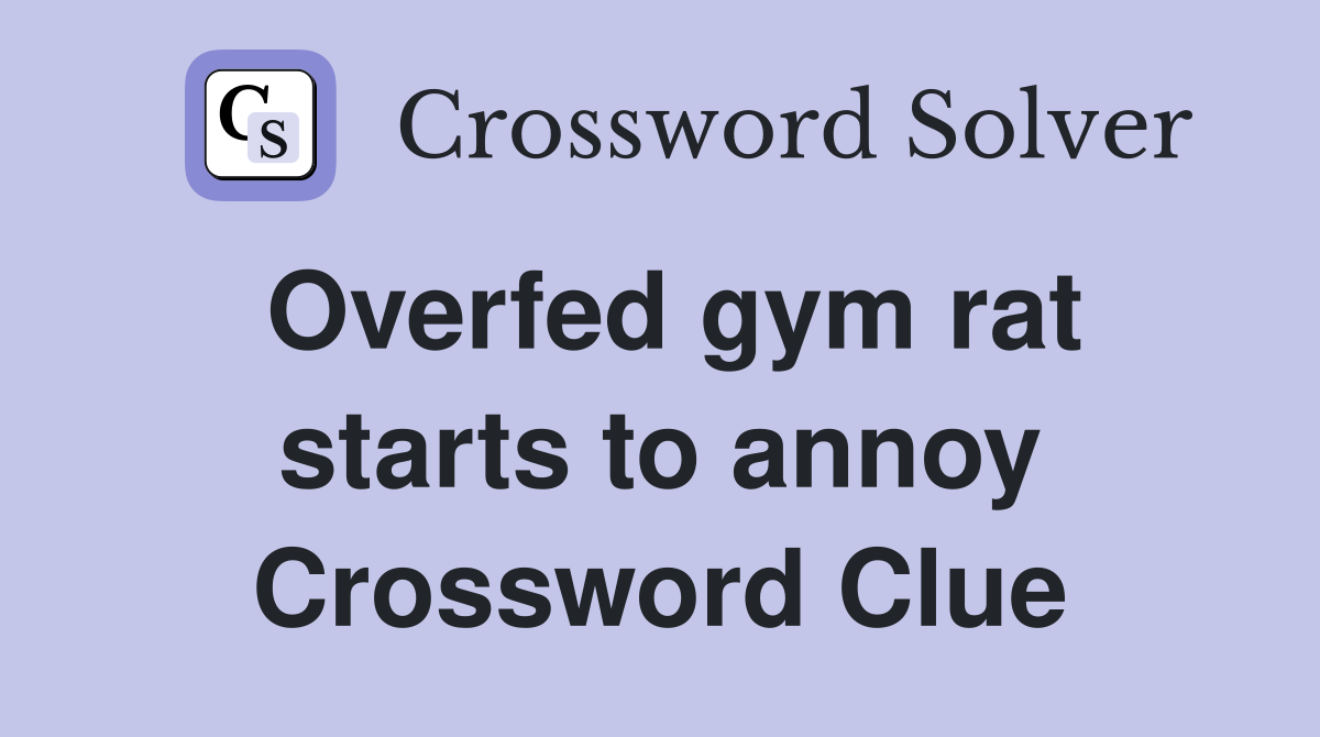 Overfed gym rat starts to annoy Crossword Clue