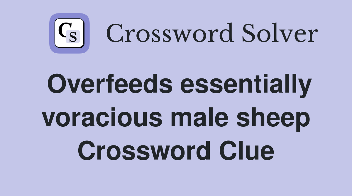 Overfeeds essentially voracious male sheep Crossword Clue