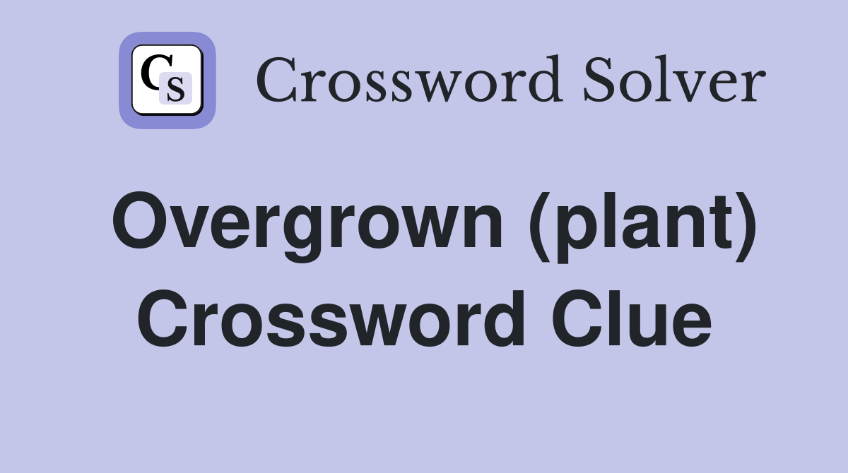 Overgrown (plant) Crossword Clue