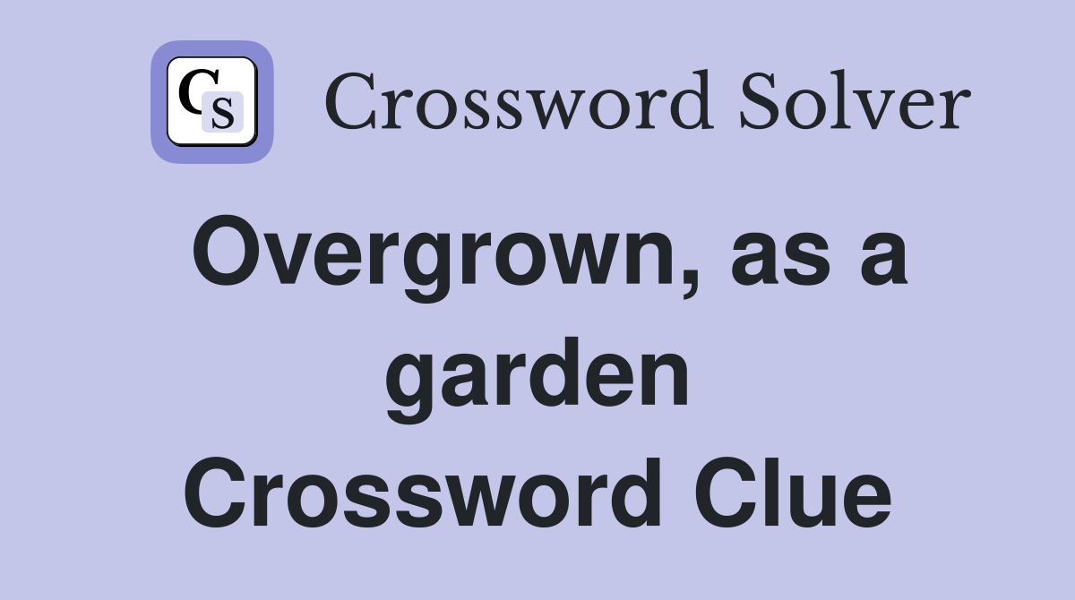 Overgrown, as a garden Crossword Clue