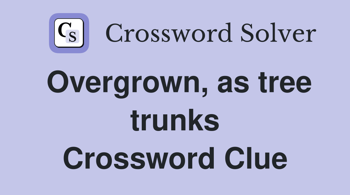 Overgrown, as tree trunks Crossword Clue