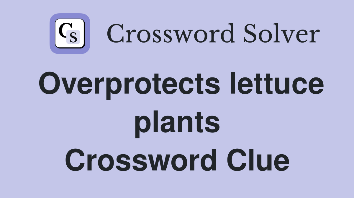 Overprotects lettuce plants Crossword Clue