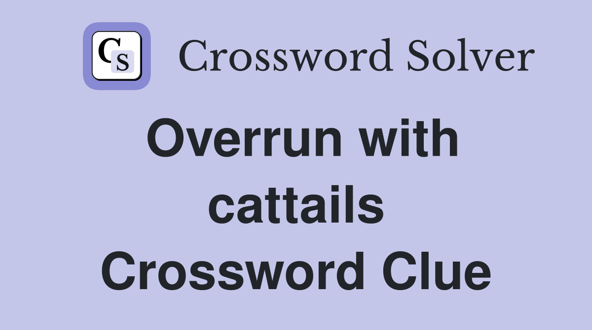 Overrun with cattails Crossword Clue
