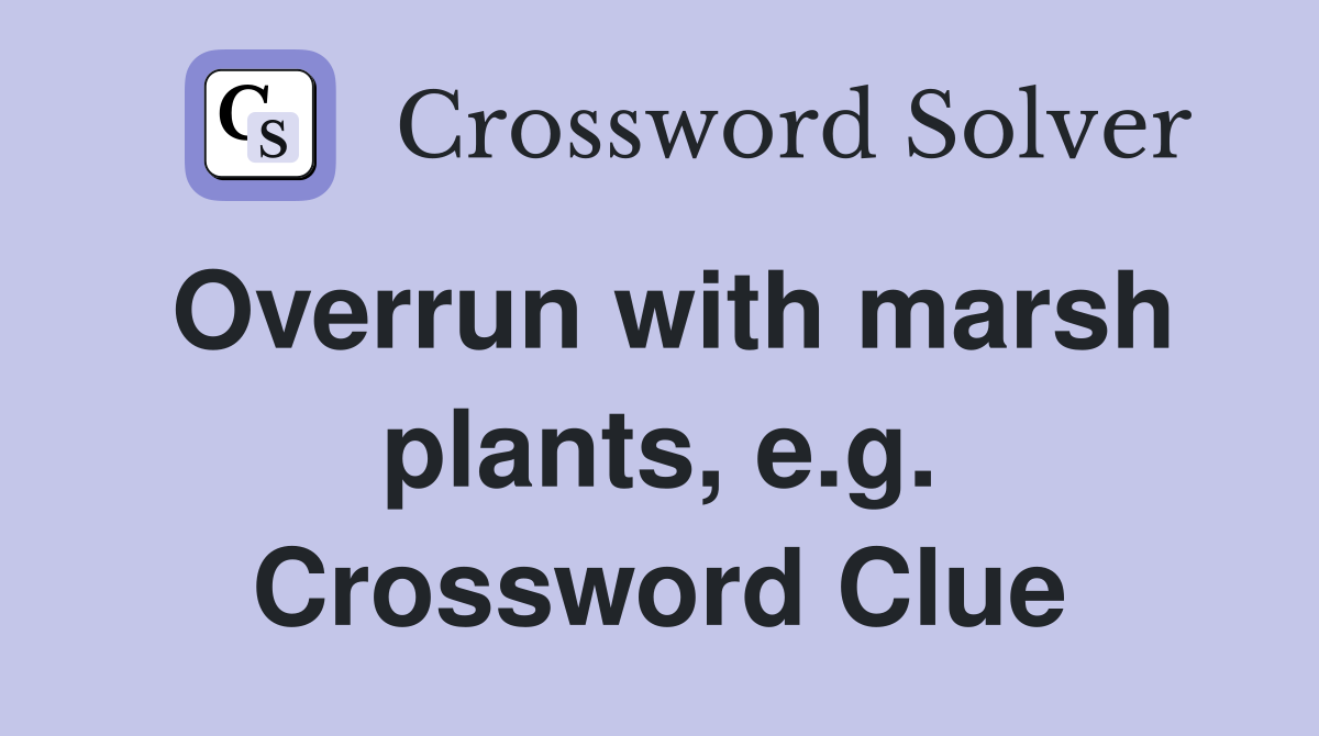 Overrun with marsh plants, e.g. Crossword Clue