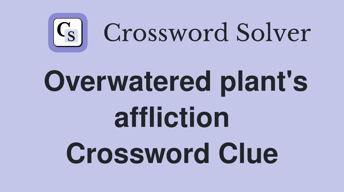 Overwatered plant's affliction Crossword Clue