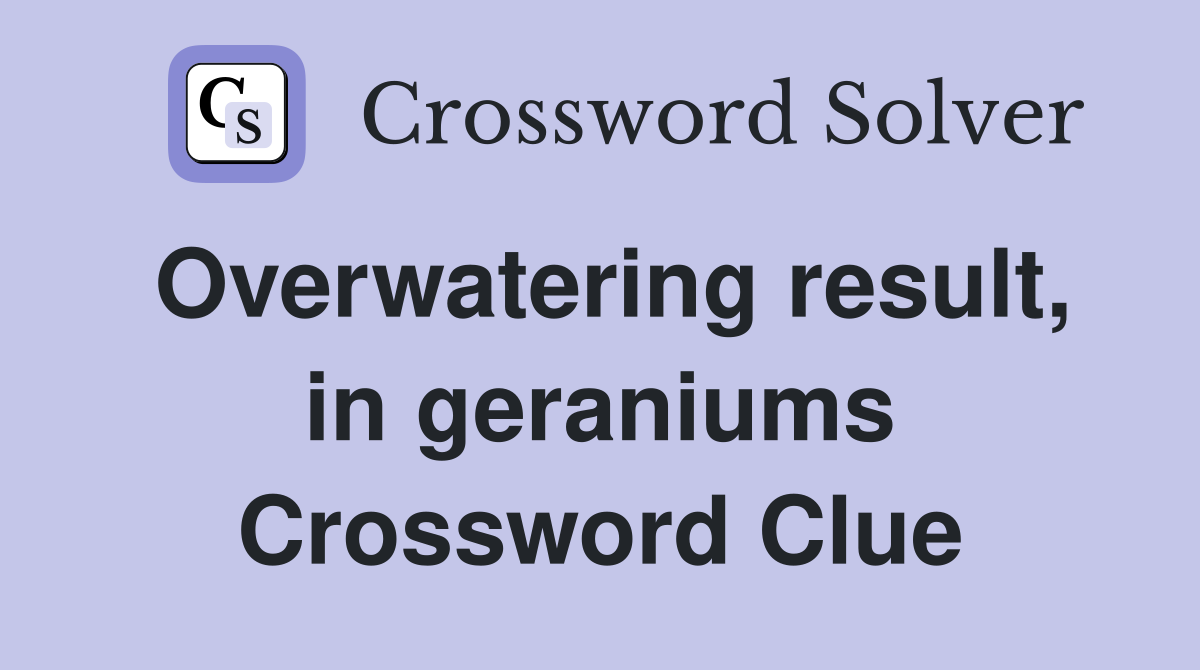 Overwatering result, in geraniums Crossword Clue