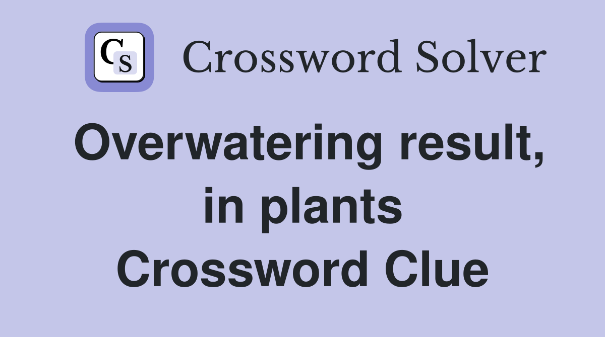 Overwatering result, in plants Crossword Clue