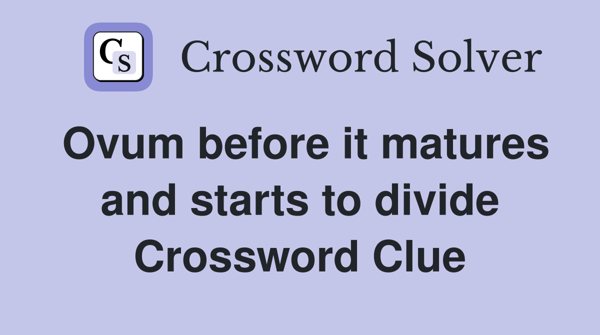 Ovum before it matures and starts to divide Crossword Clue