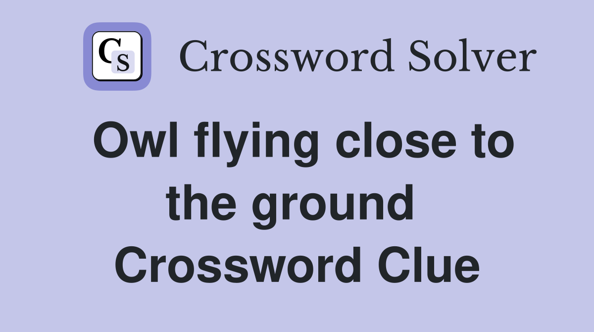 Owl flying close to the ground  Crossword Clue