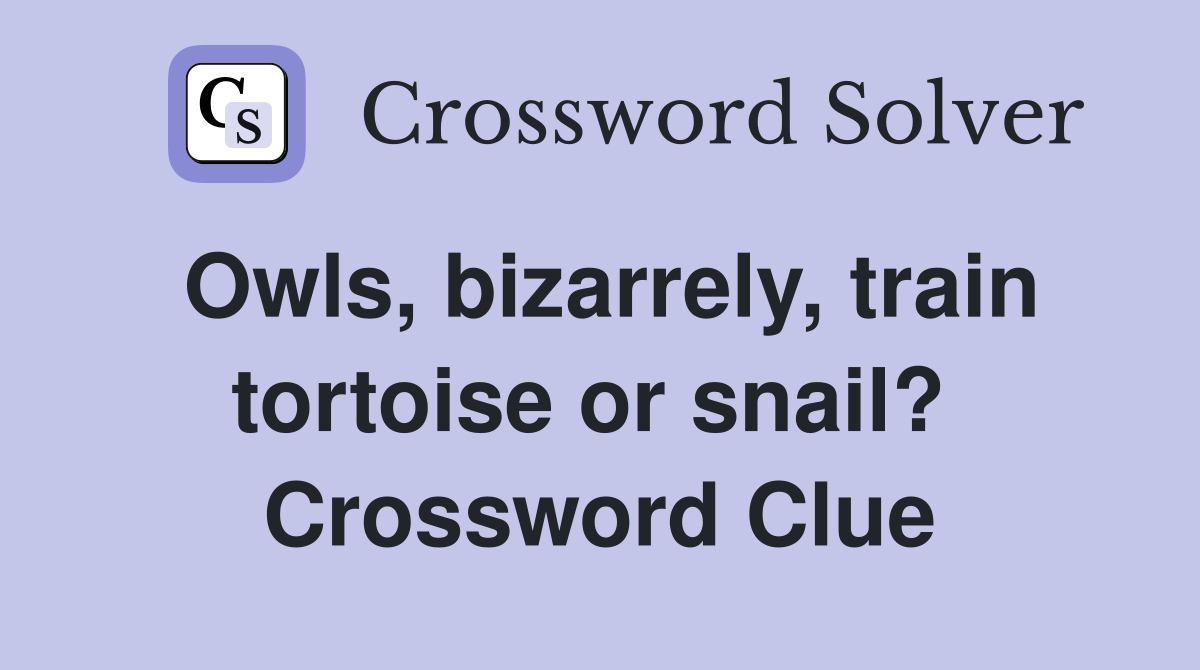 Owls, bizarrely, train tortoise or snail?  Crossword Clue