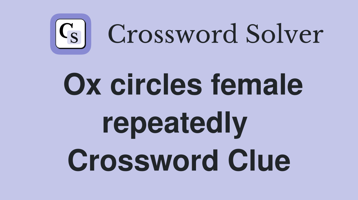 Ox circles female repeatedly  Crossword Clue