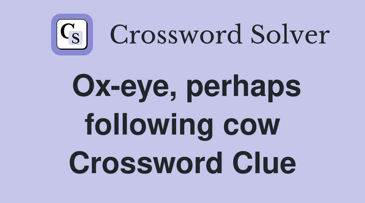 Ox-eye, perhaps following cow Crossword Clue