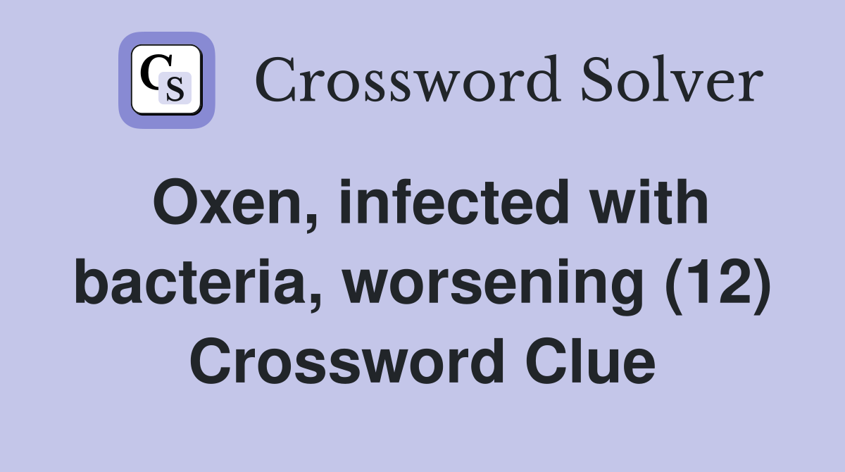 Oxen, infected with bacteria, worsening (12) Crossword Clue