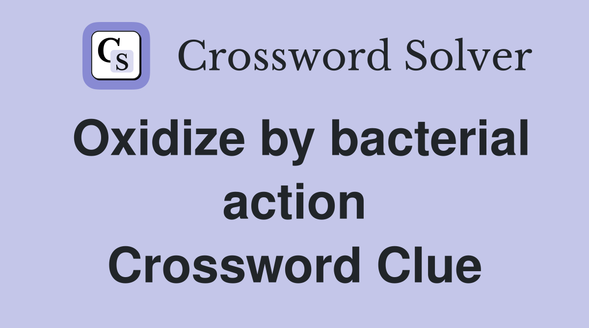 Oxidize by bacterial action Crossword Clue