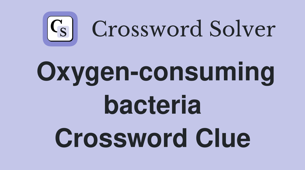 Oxygen-consuming bacteria Crossword Clue