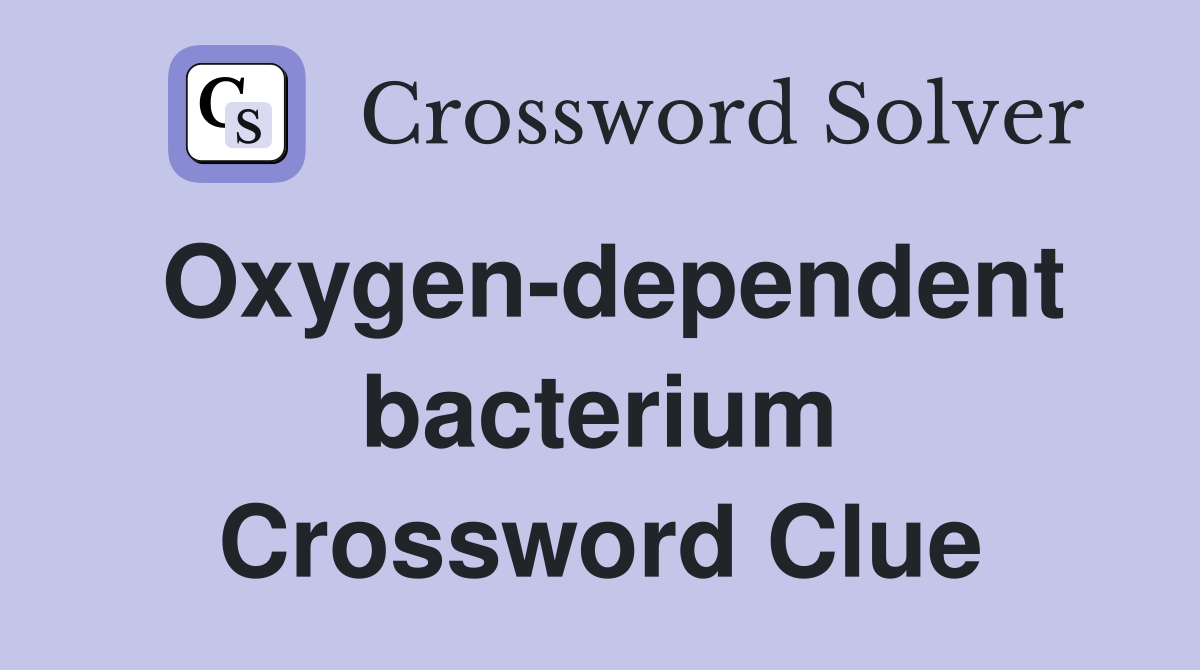 Oxygen-dependent bacterium Crossword Clue