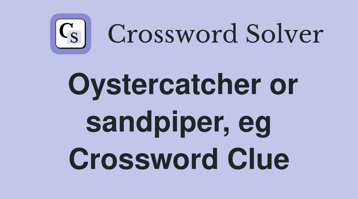 Oystercatcher or sandpiper, eg Crossword Clue