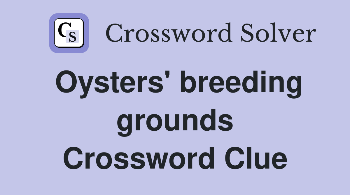 Oysters' breeding grounds Crossword Clue