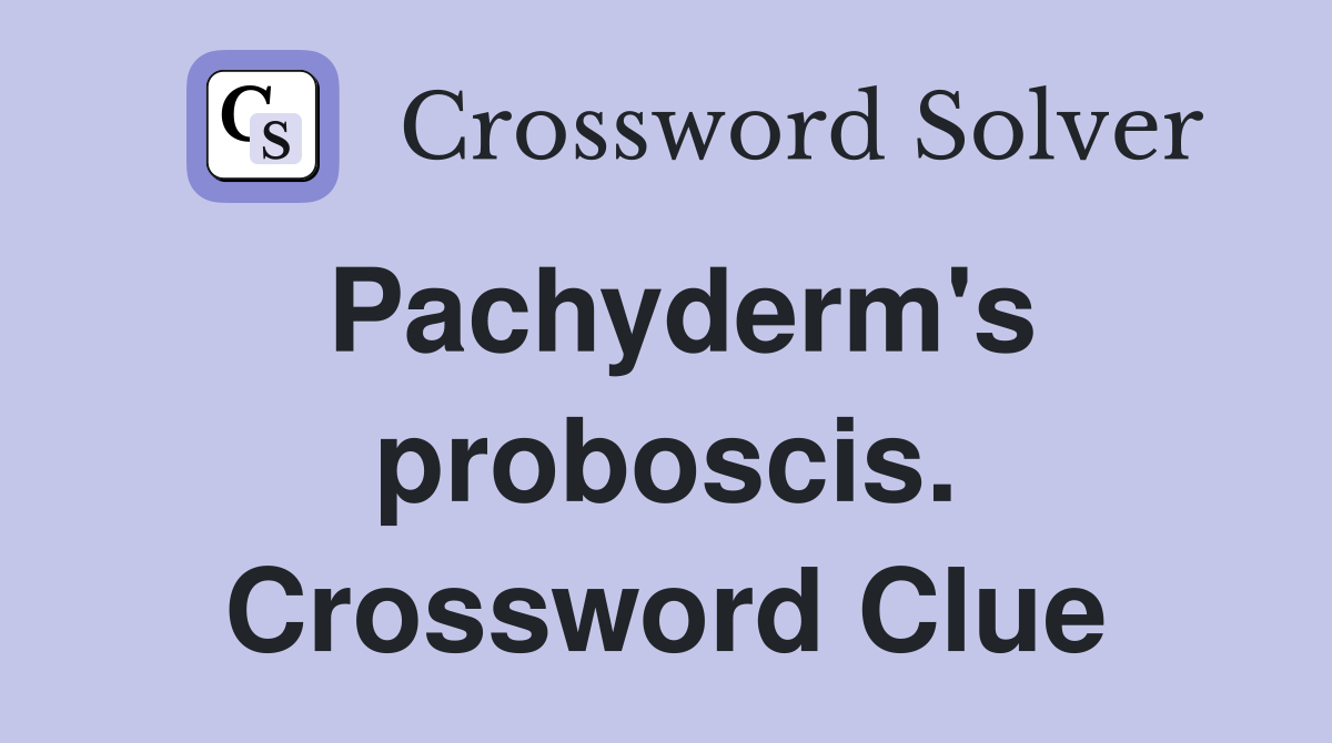 Pachyderm's proboscis. Crossword Clue