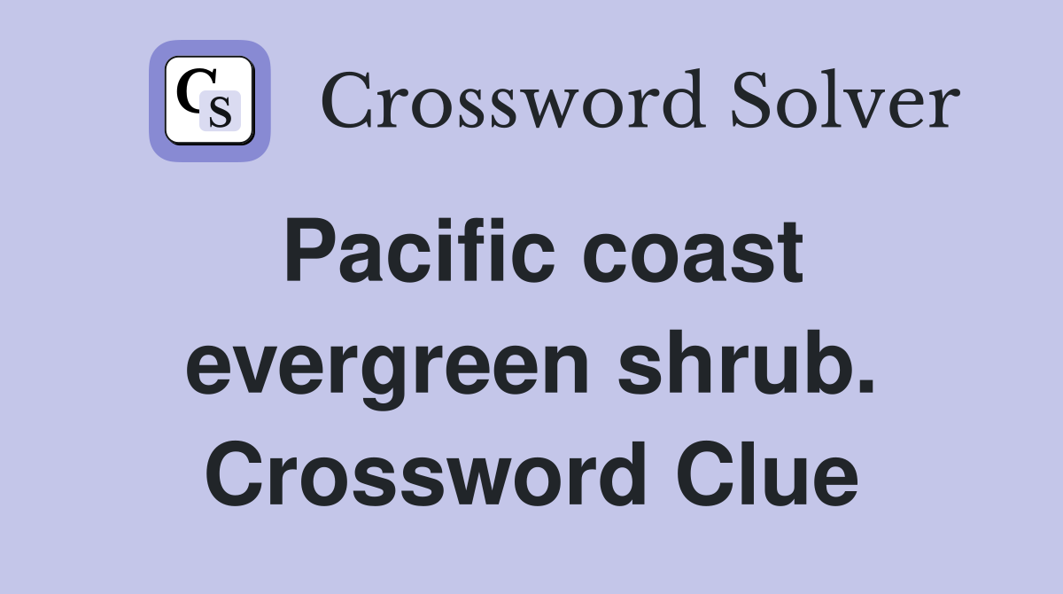 Pacific coast evergreen shrub. Crossword Clue