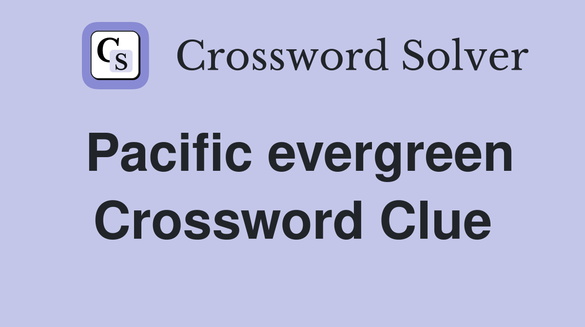 Pacific evergreen Crossword Clue