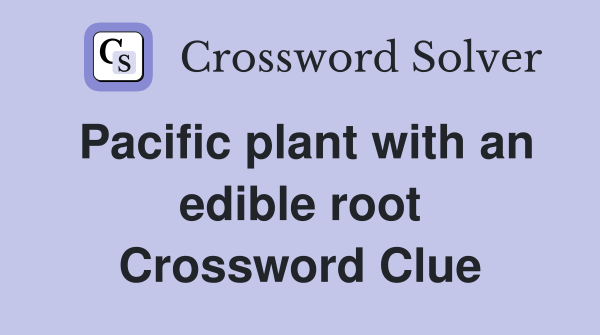 Pacific plant with an edible root Crossword Clue
