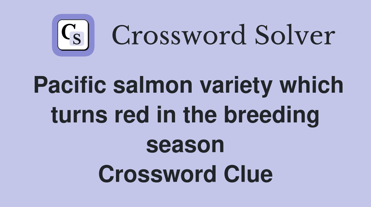 Pacific salmon variety which turns red in the breeding season Crossword Clue