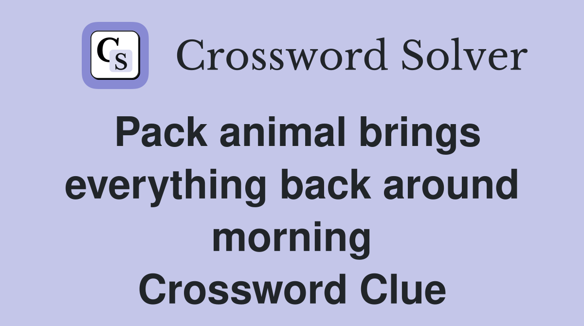 Pack animal brings everything back around morning Crossword Clue