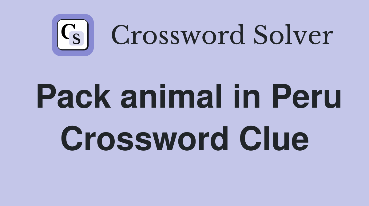 Pack animal in Peru Crossword Clue