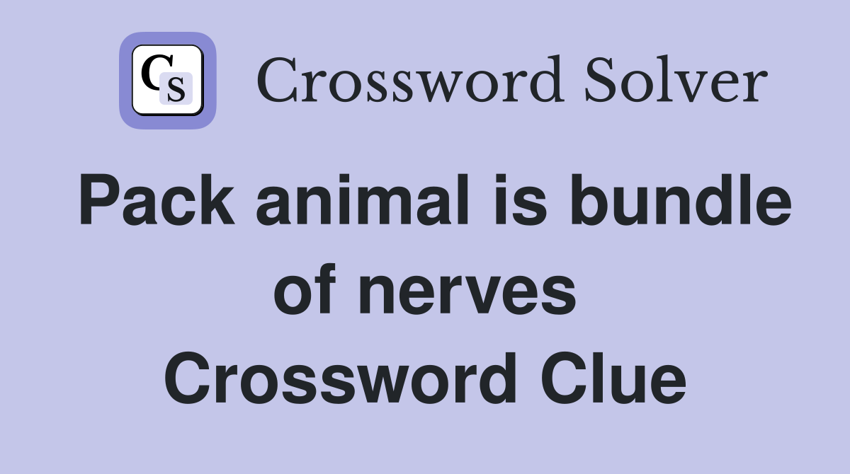 Pack animal is bundle of nerves Crossword Clue
