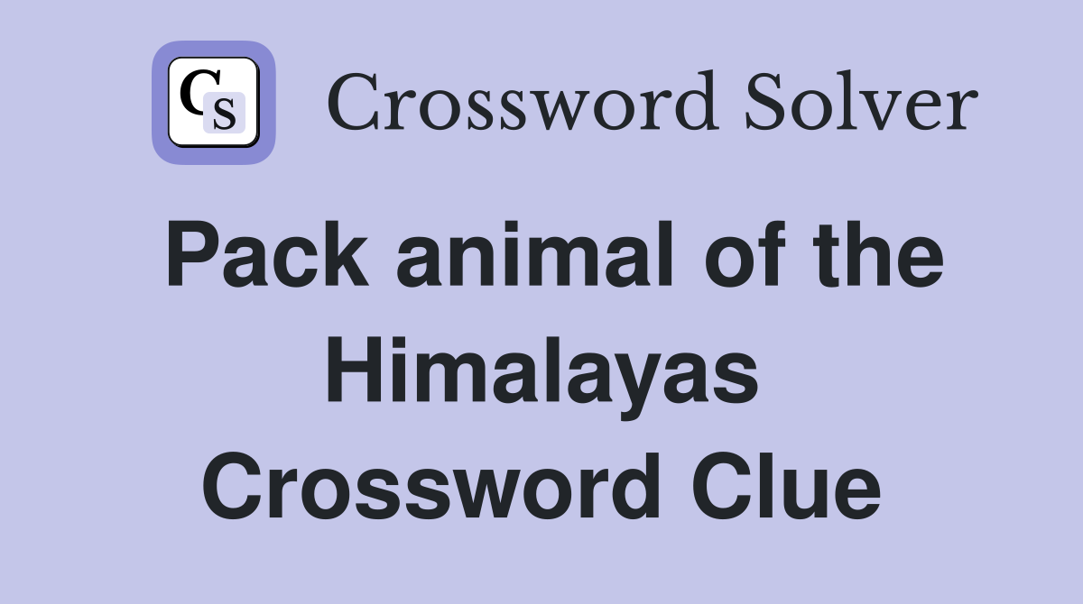 Pack animal of the Himalayas Crossword Clue