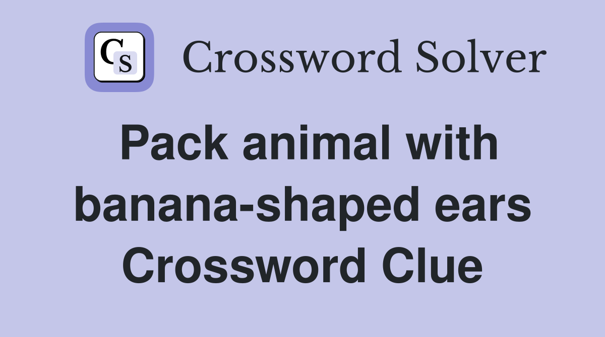 Pack animal with banana-shaped ears Crossword Clue