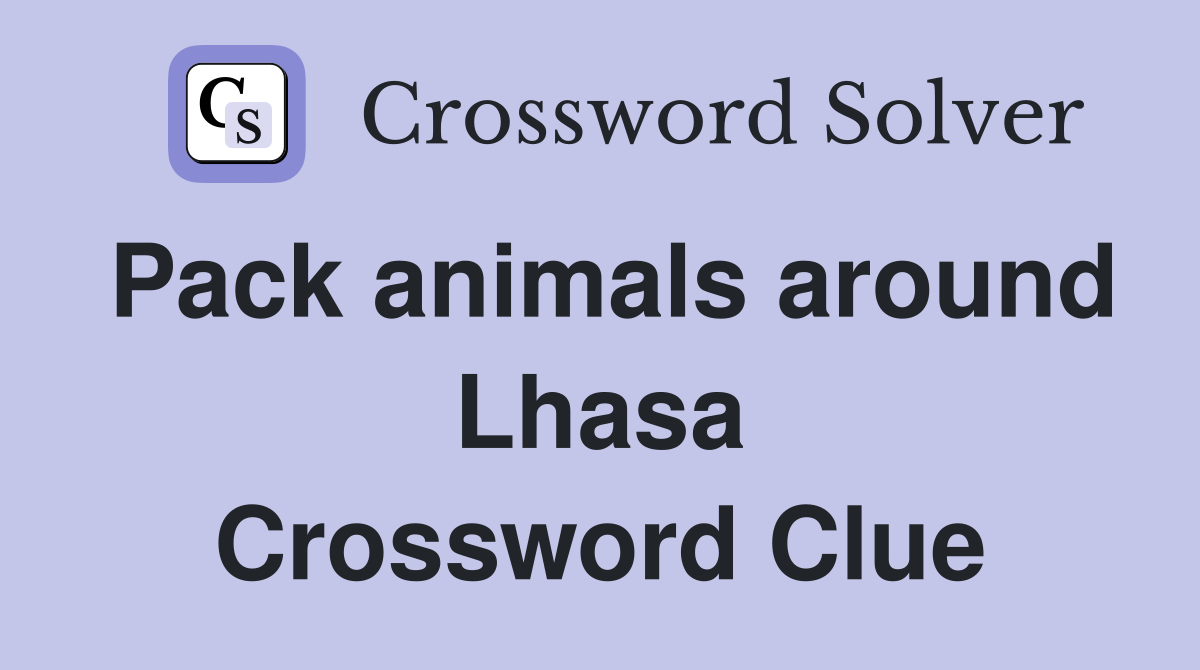 Pack animals around Lhasa Crossword Clue