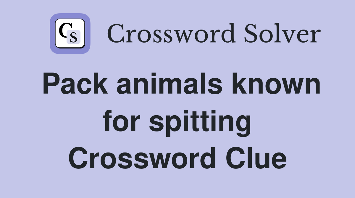 Pack animals known for spitting Crossword Clue