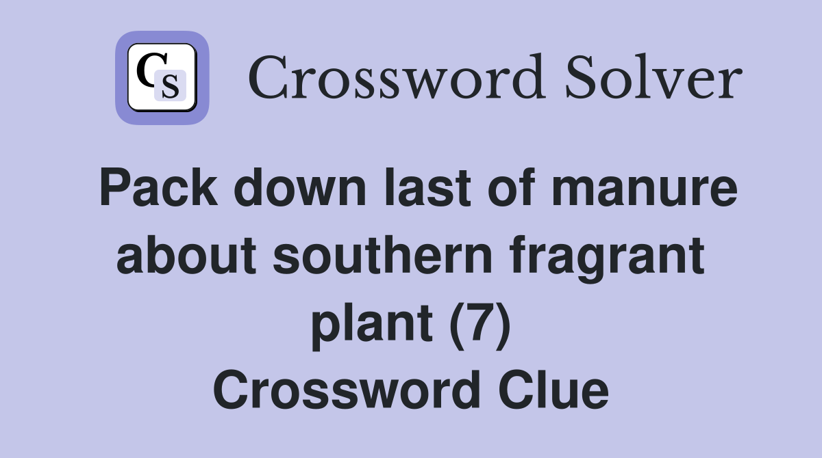 Pack down last of manure about southern fragrant plant (7) Crossword Clue