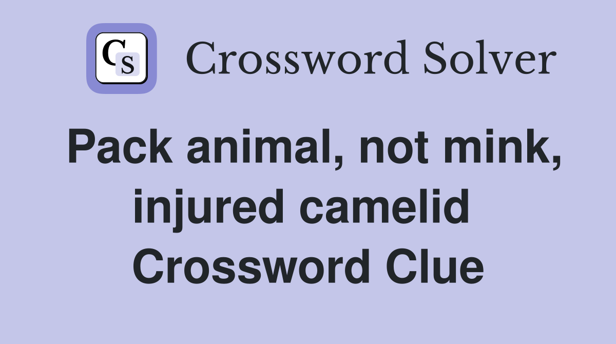 Pack animal, not mink, injured camelid  Crossword Clue