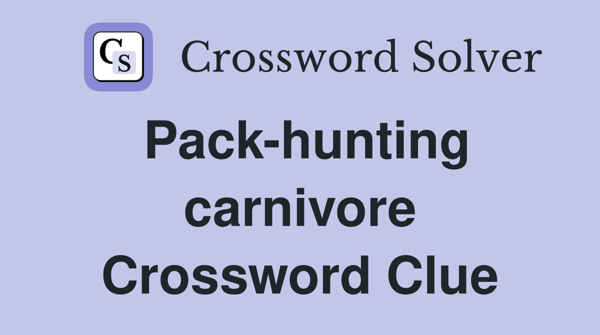 Pack-hunting carnivore Crossword Clue