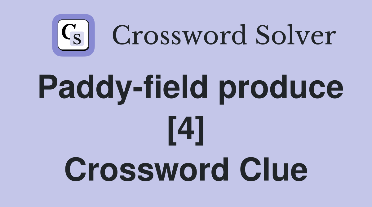 Paddy-field produce [4] Crossword Clue