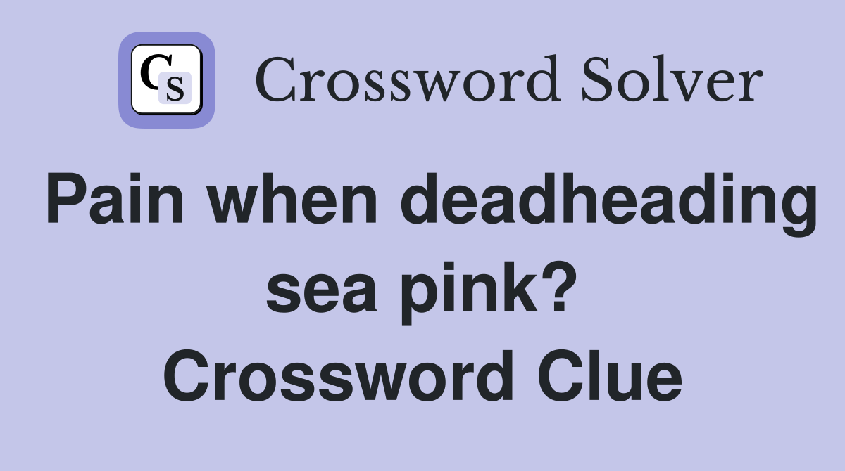 Pain when deadheading sea pink? Crossword Clue