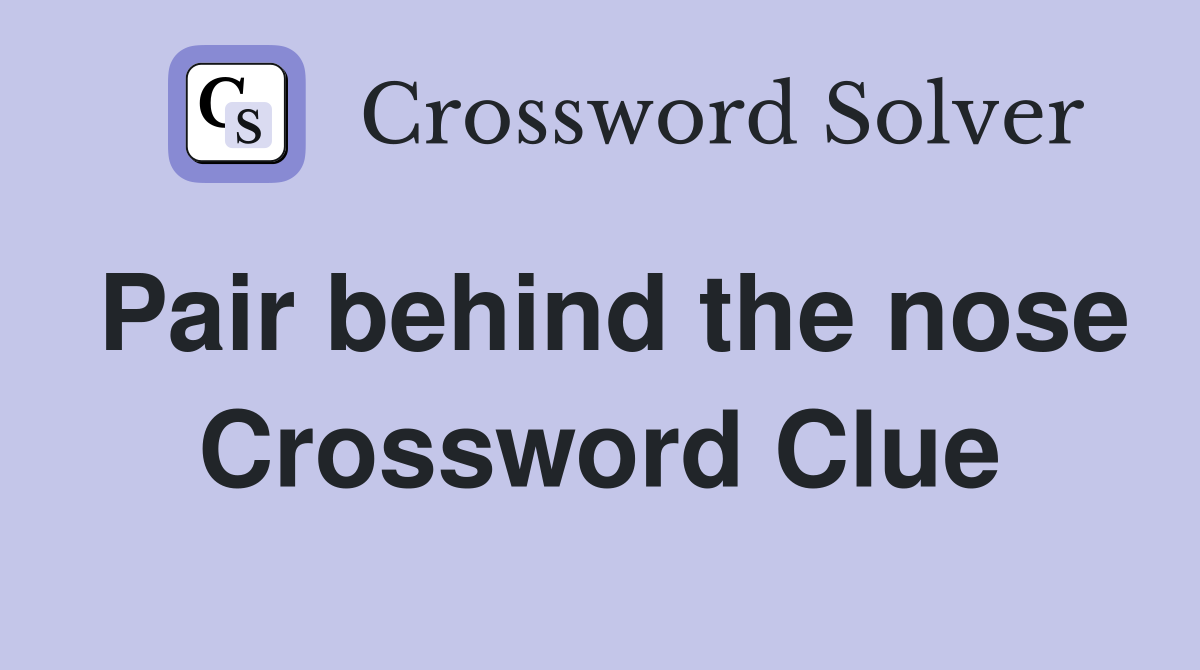 Pair behind the nose Crossword Clue